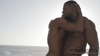 gay çin casus vids