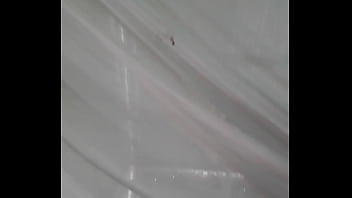 同性恋管 x
