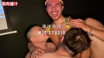 Çin ayı gay